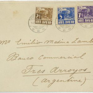 93695  - DUTCH INDIES Indonesia - POSTAL HISTORY - COVER to ARGENTINA  1935