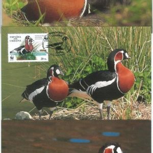 72851 - UKRAINE - Postal History - Set of 3 MAXIMUM CARD -  WWF Birds  1998