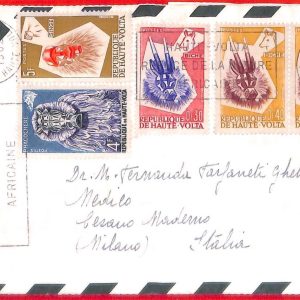aa3920 - Haute UPPER VOLTA - POSTAL HISTORY -  AIRMAIL COVER 1962 Nature ANIMALS