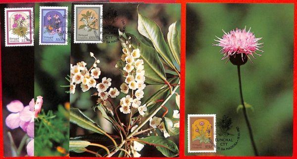 aa3252 - PORTUGAL Madeira - Postal History - 4  MAXIMUM CARD 1983   FLOWERS