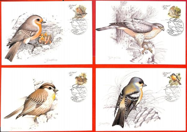 aa3298 - PORTUGAL Madeira -  Set of 4 MAXIMUM CARD 1988  Birds of PREY Hawk