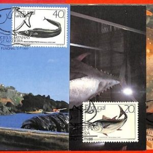 aa3295 - PORTUGAL Madeira - Postal History - Set of  4  MAXIMUM CARD 1985   FISH
