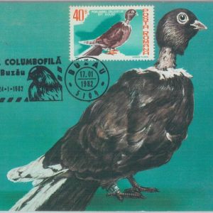 81319 - ROMANIA - Postal History - MAXIMUM CARD - 1982  Birds - Special postmark