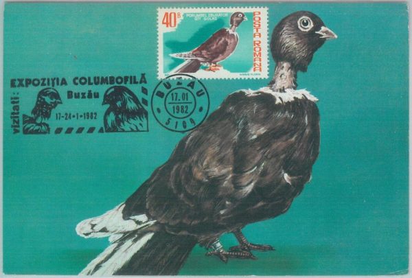 81319 - ROMANIA - Postal History - MAXIMUM CARD - 1982  Birds - Special postmark
