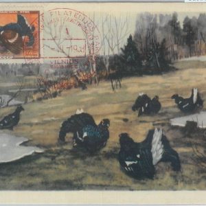 81326 - RUSSIA  - Postal History - MAXIMUM CARD - 1958  Birds