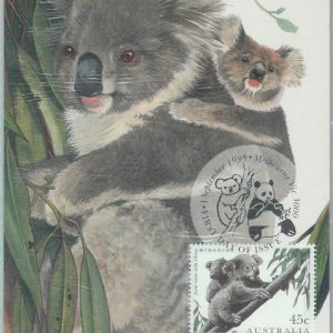 81377 - AUSTRALIA - Set of 2 MAXIMUM CARDS - Fauna KOALA PANDA  wrapper 1995