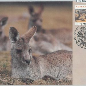 81381 - AUSTRALIA  - Postal Stationery MAXIMUM CARD  - FAUNA Kangaroo 1993
