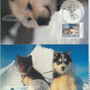81388 - AUSTRALIAN Australian Territory :  4  MAXIMUM CARDS -  DOG  1994