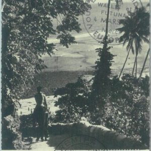 83567 - WALLIS & FUTUNA - Postal History - FDC MAXIMUM CARD 1958 Palm Trees
