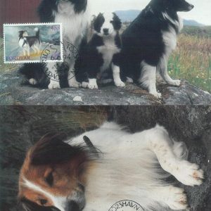 81334 - FAROE Islands - Postal History - Set of 2  MAXIMUM CARD - 1994 Dogs