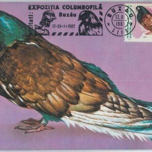 81318 - ROMANIA - Postal History - MAXIMUM CARD - 1982  Birds - Special postmark