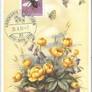 68916 - SWITZERLAND -  MAXIMUM CARDS 1951  - PRO JUVENTUTE Butterflies