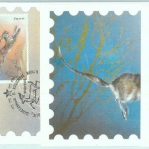 83619 - RUSSIA USSR - Postal History - Set of 5 MAXIMUM CARDS  Fauna  1985