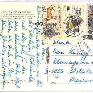 ai3268 - Czechoslovakia -  POSTAL HISTORY - Postcard - Dogs - 1974