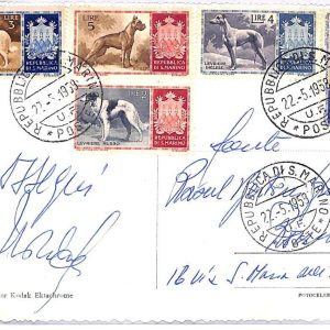 ai3269 - San Marino -  POSTAL HISTORY - Postcard - Dogs - 1959