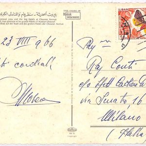 ai3388 - Lebanon -  POSTAL HISTORY - Postcard  - Butterflies - 1966