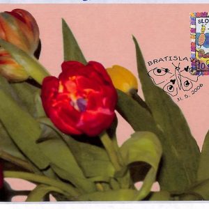 ai3400 - Slovenia -  POSTAL HISTORY - Maximum Card - Butterflies - 2006