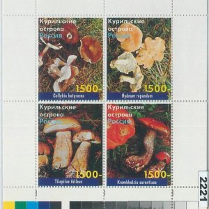 M2221 - RUSSIAN STATE, MINIATURE SHEET: Mushrooms