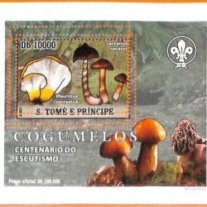 A6742 - SAO TOME & PRINCIPE, Error, 2007, MISSPERF SOUVENIR S: Mushrooms, Scouts