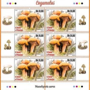 A6747 - SAO TOME & PRINCIPE, Error, 2020, MISSPERF MINIATURE SHEET: Mushrooms