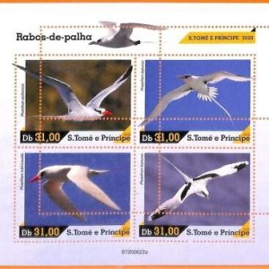 A6589 - SAO TOME & PRINCIPE, Error, 2020, MISSPERF MINIATURE S: White Tail Birds
