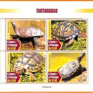 A6630 - SAO TOME & PRINCIPE, Error, 2020, MISSPERF MINIATURE SHEET: Turtles