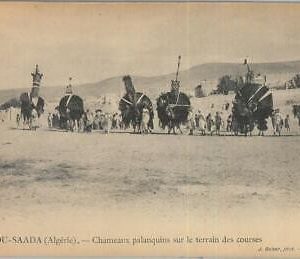 80127 - ALGERIA  Algérie -  Carte postal VINTAGE POSTCARD -  Bou Saâda