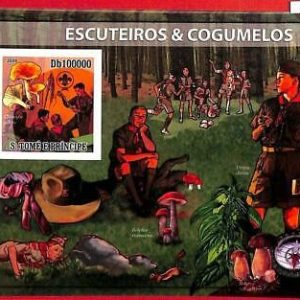 A1454 S.Tome e Principe - ERROR IMPERF 2009  Mushrooms Boy Scouts Грибы бойскаут