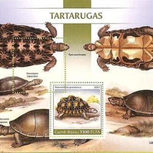 A7818 - Guinea-Bissau - ERROR MISPERF Stamp Sheet - 2021  Reptiles TURTLES