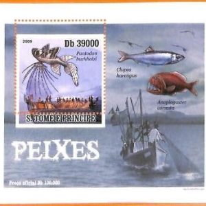 A6619 - SAO TOME & PRINCIPE, Error, 2009, MISSPERF SOUVENIR SHEET: Fishes, Boats