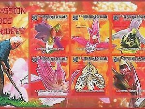 FRENCH GUINEA - ERROR, 2010 IMPERF SHEET: FLOWERS, Orchids