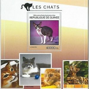 GUINEA - ERROR, 2014 MISSPERF SHEET: CATS, PETS, ANIMALS