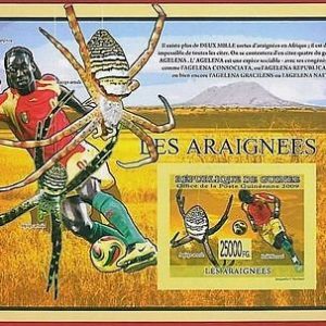 FRENCH GUINEA - ERROR, 2009 IMPERF SHEET: SPIDERS, INSECTS, SOCCER