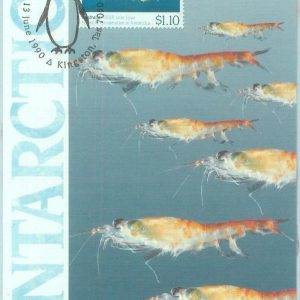 89896 - AUSTRALIA  - Postal History - MAXIMUM CARD -  1990 MARINE LIFE  Shrimp