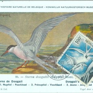 87593 - MONACO - Postal History - MAXIMUM CARD -  BIRDS  1955