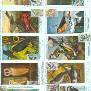 87597  - MONACO - Postal History - set of 10 MAXIMUM CARDS -  BIRDS  1962