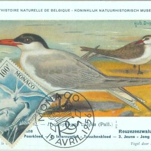 87594 - MONACO - Postal History - MAXIMUM CARD -  BIRDS  1955