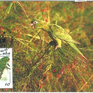 72881 - HAVANA Habana - Postal History - MAXIMUM CARD - WWF Birds PARROTS  1998