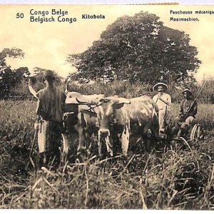 ai3124 - CONGO BELGE - POSTAL HISTORY - Stationery Card - Agricolture  - 1912