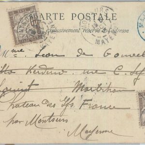 81175 - MADAGASCAR - POSTAL HISTORY -  POSTCARD to FRANCE 1903 TAXED on arrival