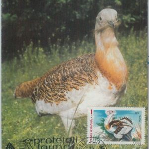 81316 - ROMANIA - Postal History - MAXIMUM CARD - 1989  Birds - Special postmark