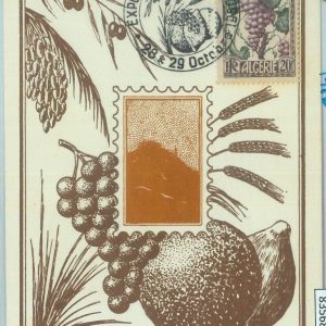 83568 - ALGERIA  - Postal History -  MAXIMUM CARD 1950 Nature FRUIT Grapes