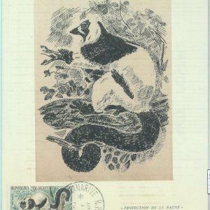 83738 - MADAGASCAR - Postal History - MAXIMUM CARD - 1962  FAUNA Lemur