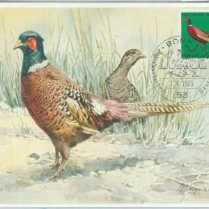 81300 - GERMANY DDR  - Postal History - FDC MAXIMUM CARD -   1965  Birds
