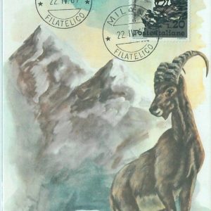 68685 - ITALY - Postal History - MAXIMUM CARD 1967 - NATURE: Fauna