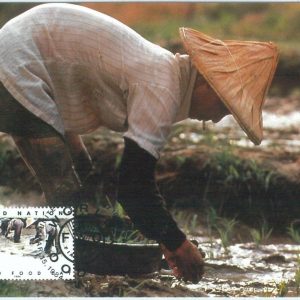 68860 - UNITED NATIONS  - Postal History - MAXIMUM CARD 1984 - AGRICOLTURE Rice
