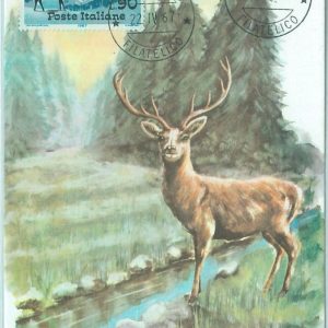 68683 - ITALY - Postal History - MAXIMUM CARD 1967 - NATURE: Fauna