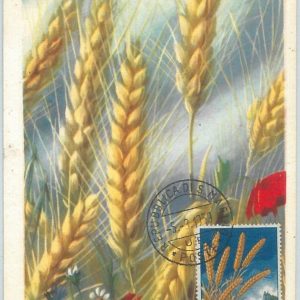 72681 -  SAN MARINO -  Postal History -   MAXIMUM CARD - AGRICOLTURE Food  1959
