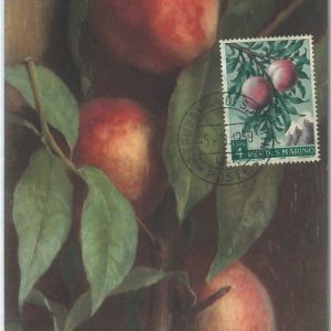72682 -  SAN MARINO -  Postal History -   MAXIMUM CARD - AGRICOLTURE Food  1959