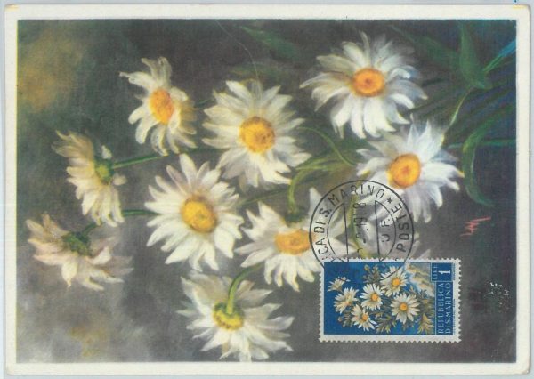 81229 - SAN MARINO  - Postal History -  MAXIMUM CARD -  FLOWERS 1958